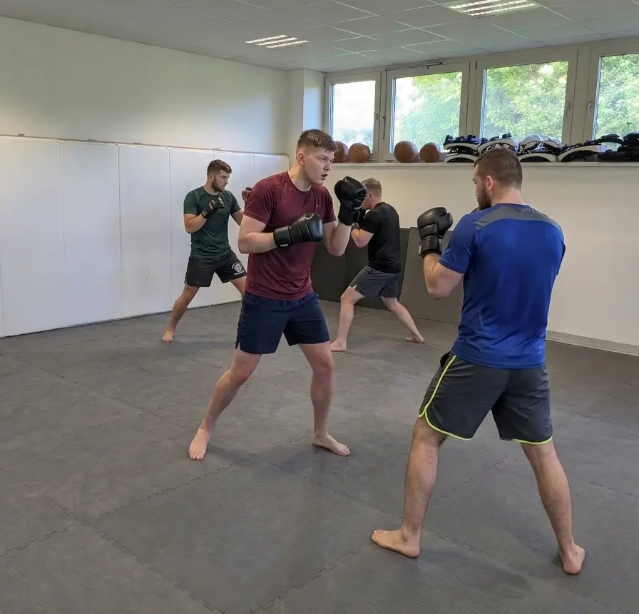 Boxing sparring